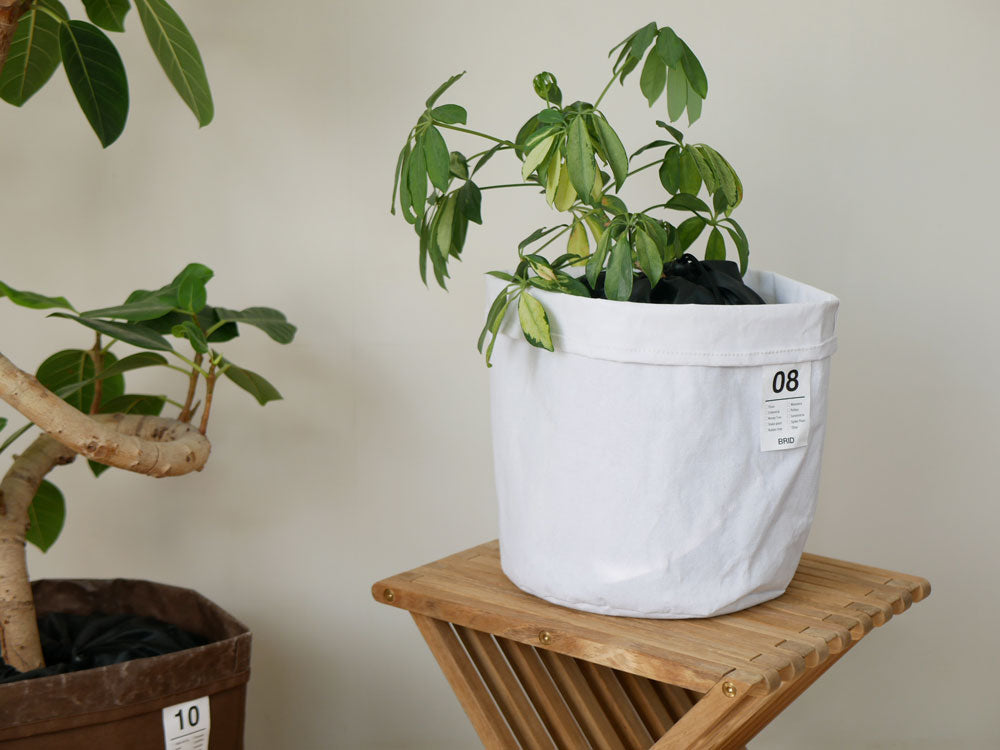 【BRID/ブリッド】土が隠せるプランツカバー