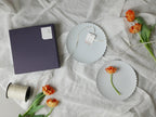 【1616/arita japan】TY Palace plate
