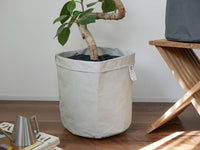 10号 / ライトグレー