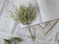 クリスタルグラス / グリーン