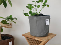 8号 / ダークグレー