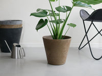 プラントポット / Mサイズ / ブラウン