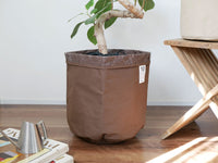 10号 / ブラウン