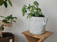 8号 / ライトグレー