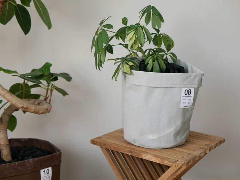 【BRID/ブリッド】土が隠せるプランツカバー