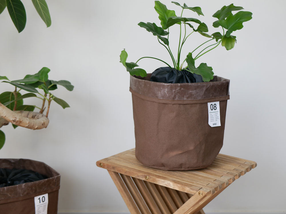 【BRID/ブリッド】土が隠せるプランツカバー